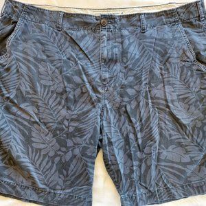 American Eagle Outfitters classic shorts - 48